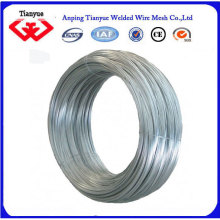 Electro Galvanized/ Hot Dipped Galvanized Iron Wire Flat Wire